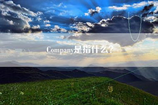 Company是指什么？