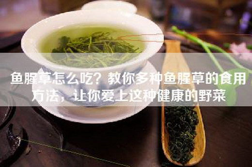 鱼腥草怎么吃？教你多种鱼腥草的食用方法，让你爱上这种健康的野菜