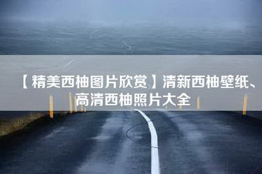 【精美西柚图片欣赏】清新西柚壁纸、高清西柚照片大全