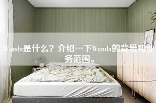 Wanda是什么？介绍一下Wanda的背景和业务范围。