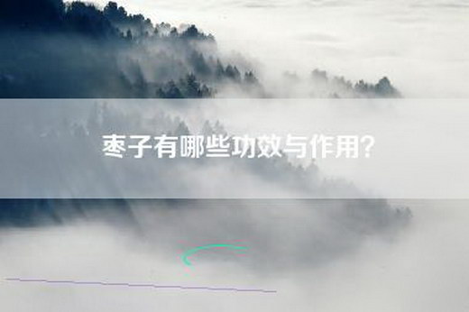 枣子有哪些功效与作用？