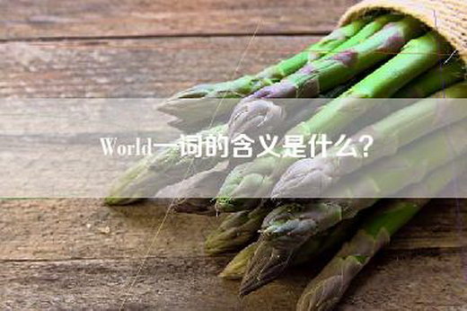 World一词的含义是什么？