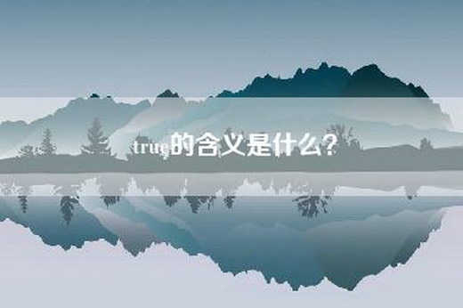 true的含义是什么？