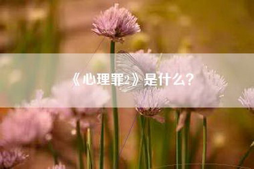 《心理罪2》是什么？