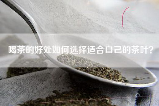 喝茶的好处如何选择适合自己的茶叶？