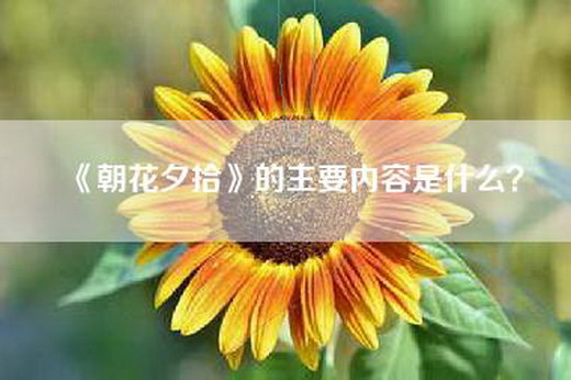 《朝花夕拾》的主要内容是什么？