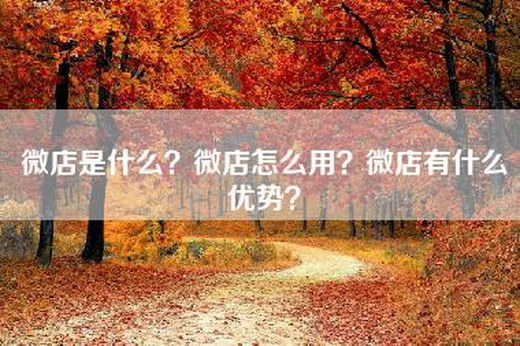 -是什么？-怎么用？-有什么优势？