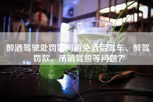 醉酒驾驶处罚如何避免酒后驾车、醉驾罚款、吊销-等问题？