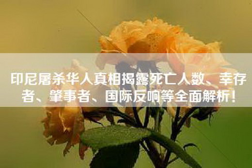 印尼屠杀华人真相揭露死亡人数、幸存者、肇事者、国际反响等全面解析！