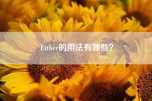 Either的用法有哪些？