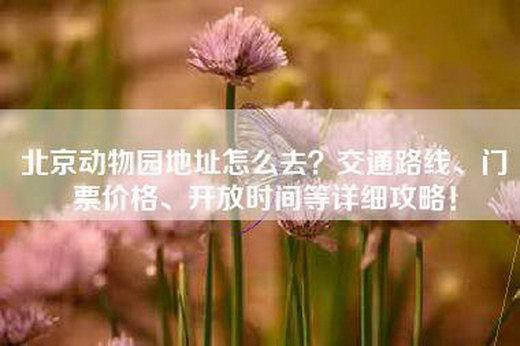 北京动物园地址怎么去？交通路线、门票价格、开放时间等详细攻略！