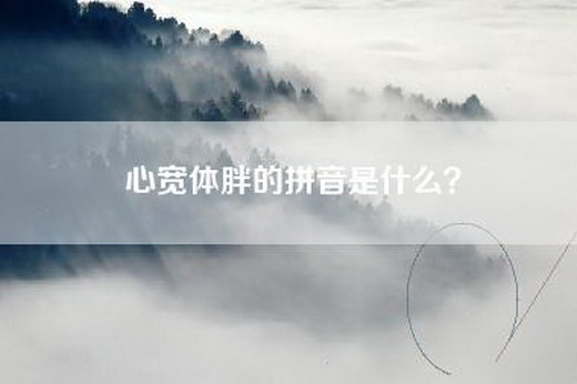 心宽体胖的拼音是什么？