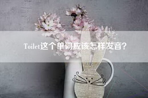 Toilet这个单词应该怎样发音？