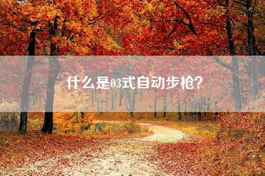 什么是03式自动-？