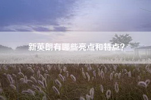 新英朗有哪些亮点和特点？