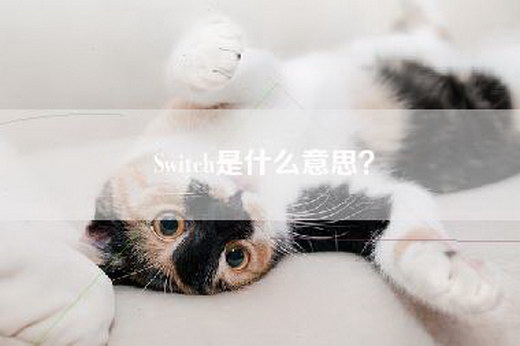 Switch是什么意思？