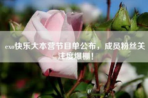 exo快乐大本营节目单公布，成员粉丝关注度爆棚！