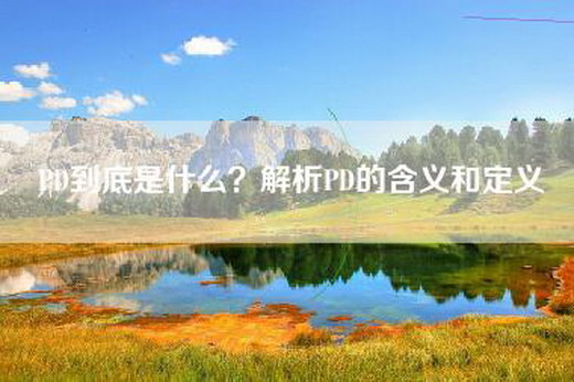 PD到底是什么？解析PD的含义和定义