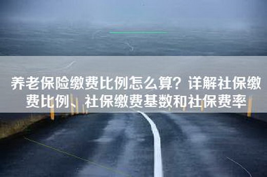 养老保险缴费比例怎么算？详解社保缴费比例、社保缴费基数和社保费率