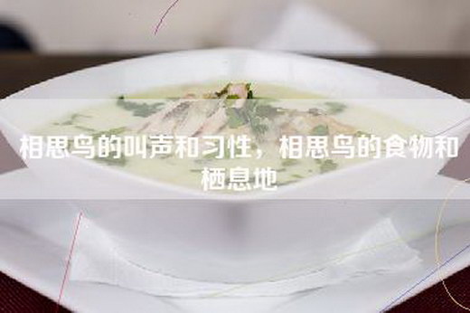 相思鸟的叫声和习性，相思鸟的食物和栖息地