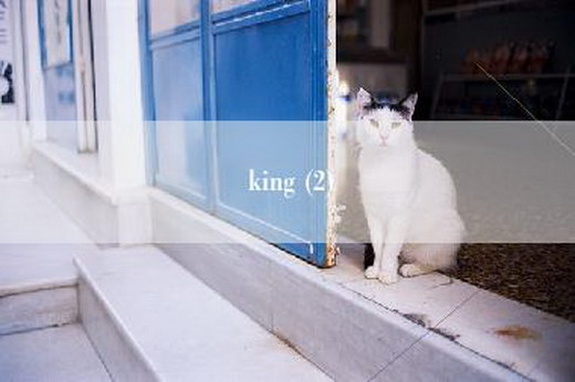 king (2)