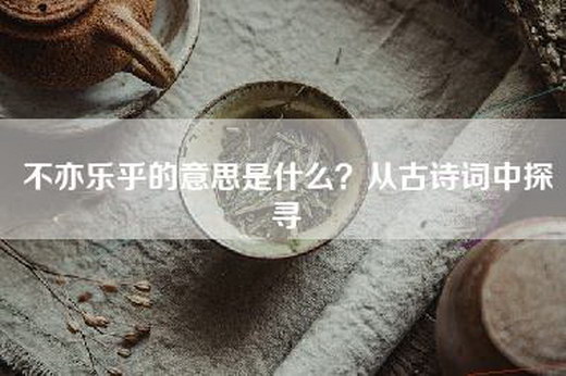 不亦乐乎的意思是什么？从古诗词中探寻