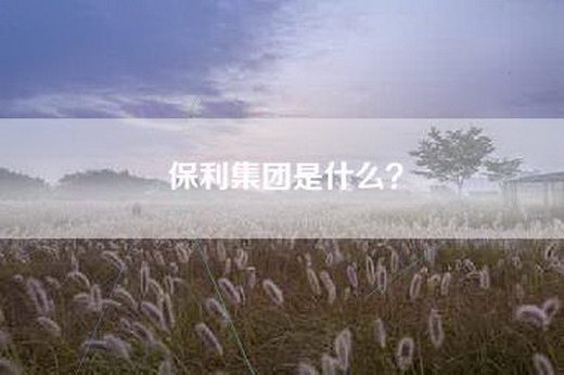 保利集团是什么？