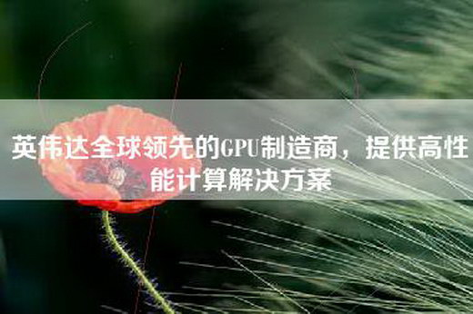 英伟达全球领先的GPU制造商，提供高性能计算解决方案