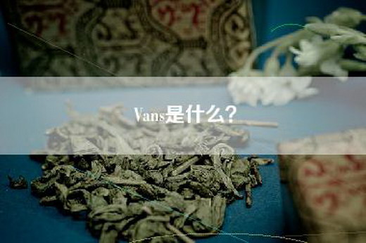 Vans是什么？