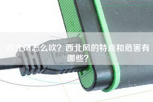 西北风怎么吹？西北风的特点和危害有哪些？