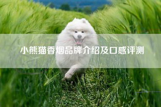 小熊猫-品牌介绍及口感评测