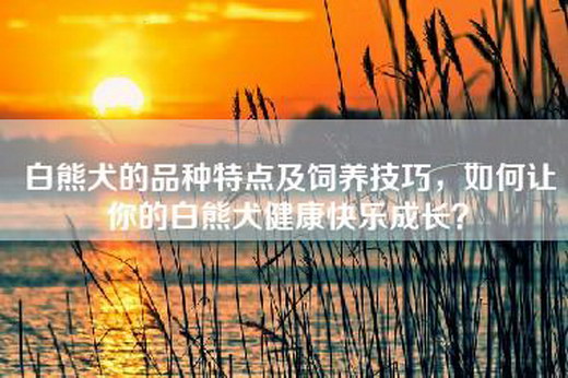 白熊犬的品种特点及饲养技巧，如何让你的白熊犬健康快乐成长？