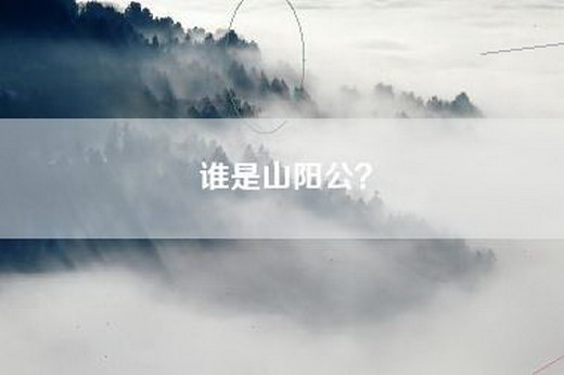 谁是山阳公？