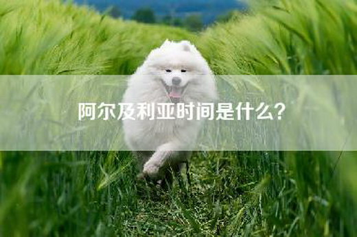 阿尔及利亚时间是什么？