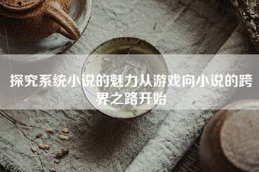 探究系统小说的魅力从游戏向小说的跨界之路开始