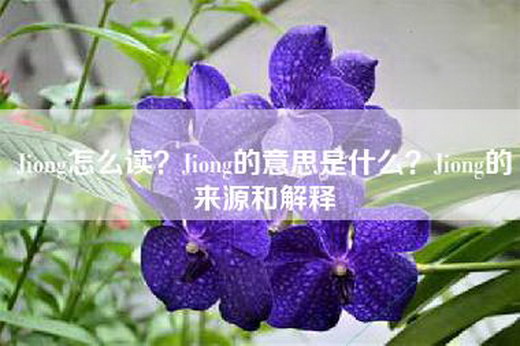 Jiong怎么读？Jiong的意思是什么？Jiong的来源和解释