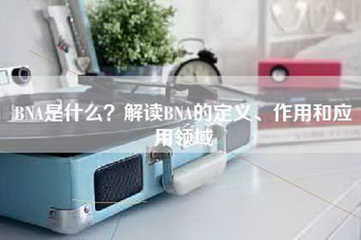 BNA是什么？解读BNA的定义、作用和应用领域