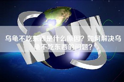 乌龟不吃东西是什么原因？如何解决乌龟不吃东西的问题？