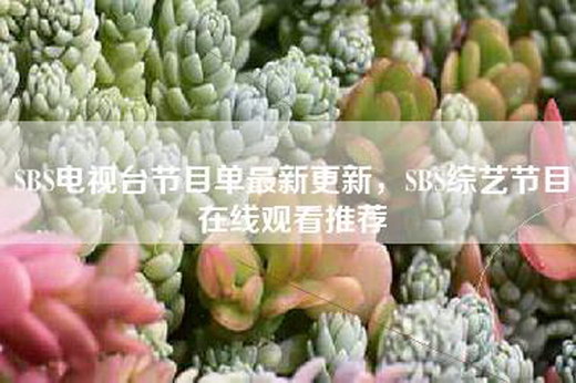 SBS电视台节目单最新更新，SBS综艺节目-推荐