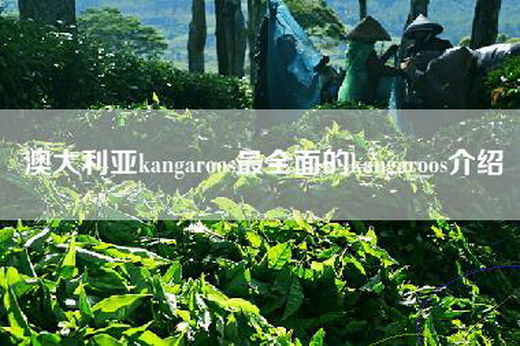 澳大利亚kangaroos最全面的kangaroos介绍