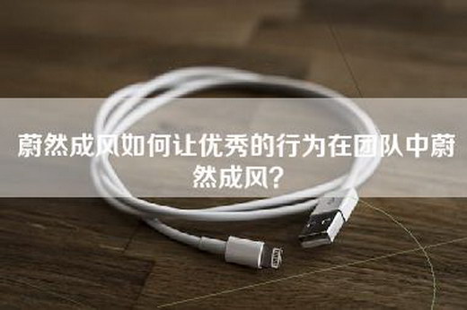 蔚然成风如何让优秀的行为在团队中蔚然成风？