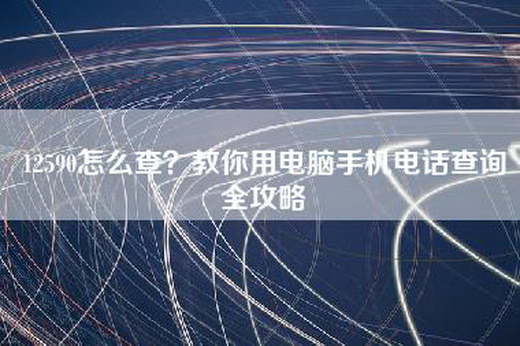 12590怎么查？教你用电脑手机电话查询全攻略