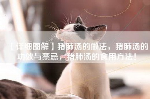 【详细图解】猪肺汤的做法，猪肺汤的功效与禁忌，猪肺汤的食用方法！