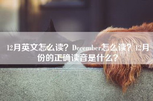 12月英文怎么读？December怎么读？12月份的正确读音是什么？