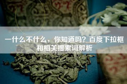 一什么不什么，你知道吗？百度下拉框和相关搜索词解析