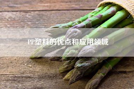 PP塑料的优点和应用领域