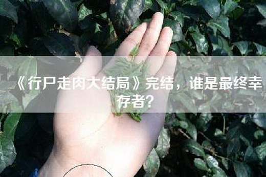 《行尸走肉大结局》完结，谁是最终幸存者？