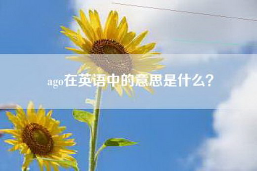 ago在英语中的意思是什么？