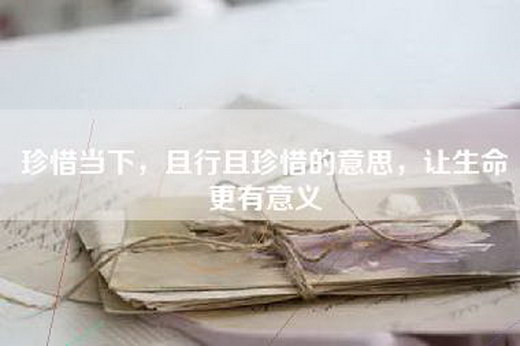 珍惜当下，且行且珍惜的意思，让生命更有意义