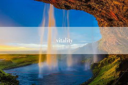 vitality